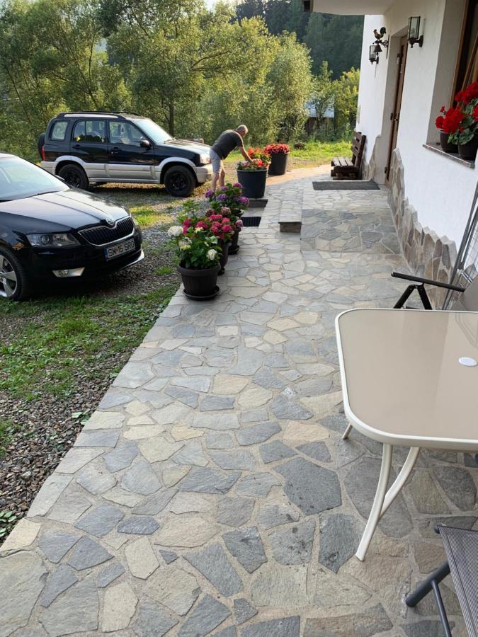 Pensiunea Pietrosul Borşa 외부 사진